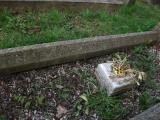 image of grave number 62590